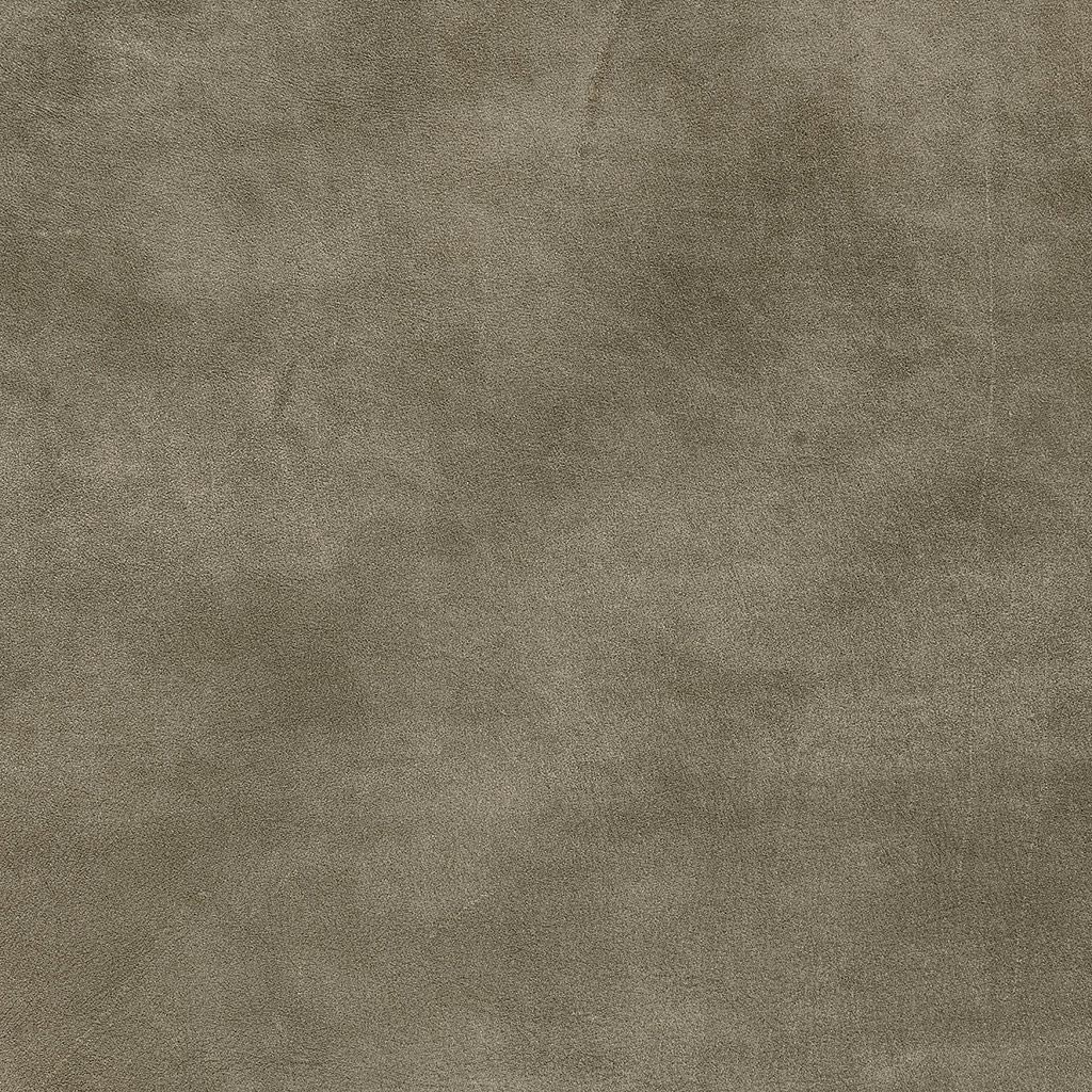 Geschuurd leer Olive