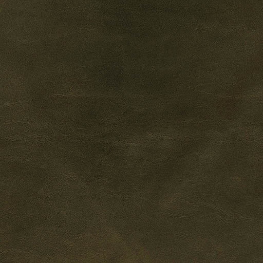 Vintage Art Army Green