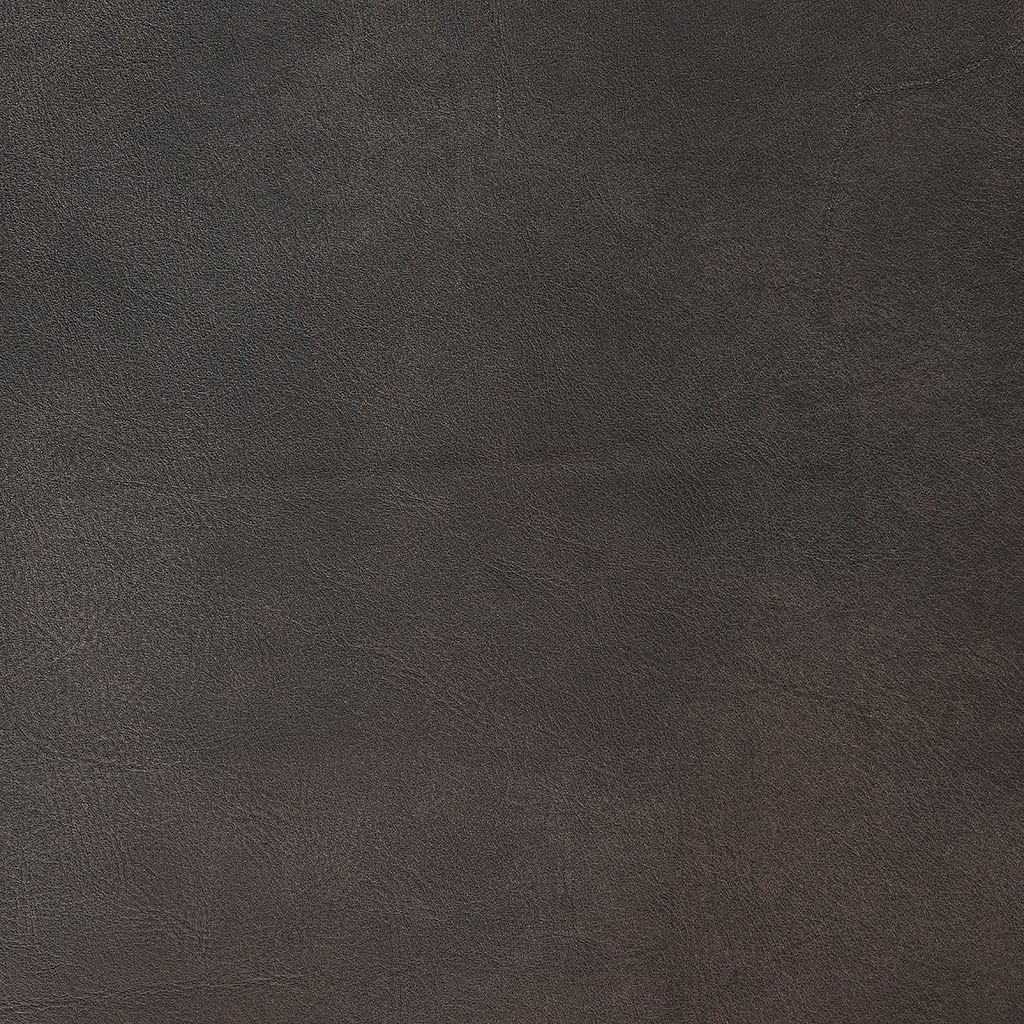 Geschuurd leer Elephant